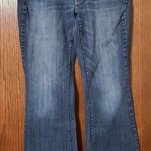 🦅 American Eagle Jeans Sz 12 LONG Artist 34/33